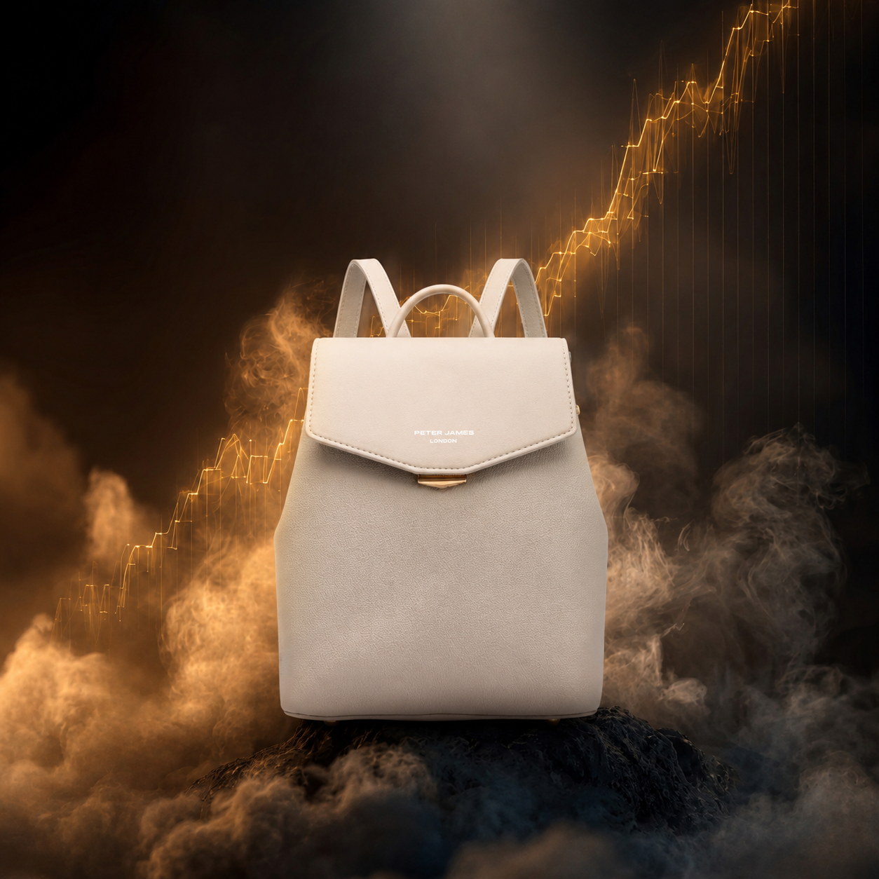 Peter James Curve Shape Backpack