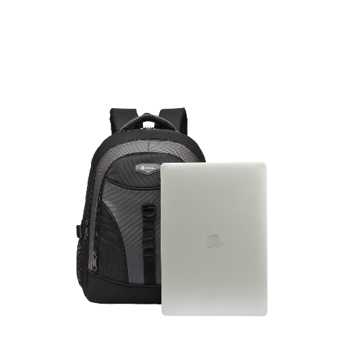 Eagle Trendy Laptop Backpack