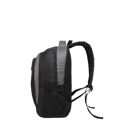 Eagle Trendy Laptop Backpack