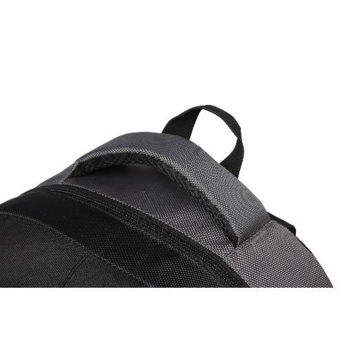 Eagle Trendy Laptop Backpack