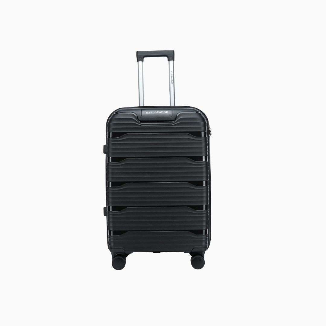 Windora - 20cm