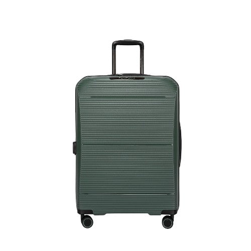 Suitcase shopping online