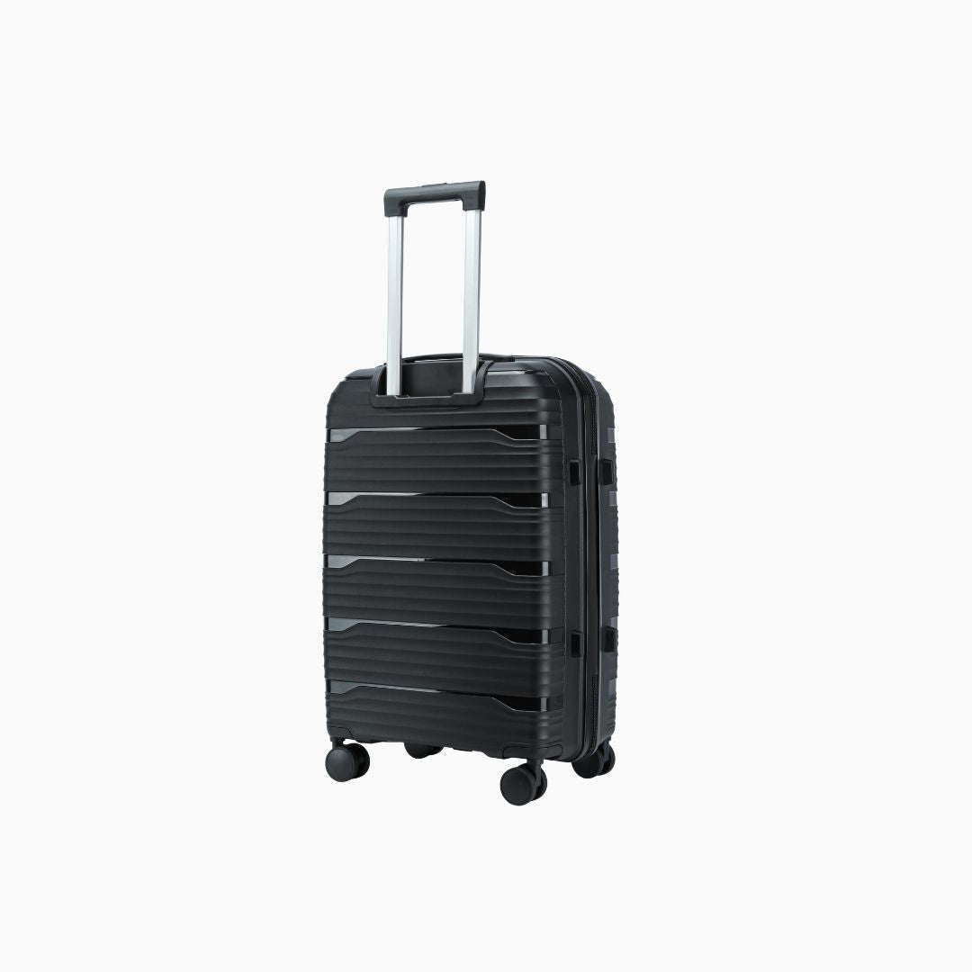 Windora  - 20cm