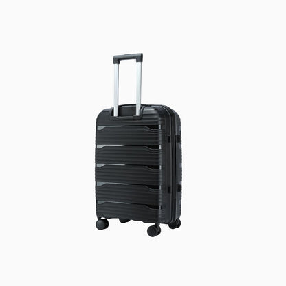Windora  - 20cm