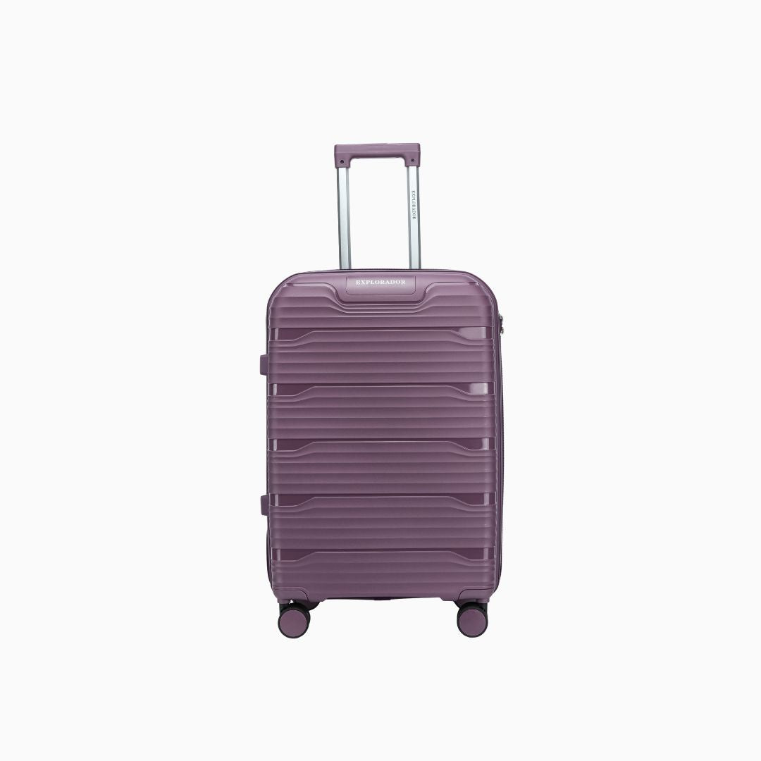 Windora  - 20cm