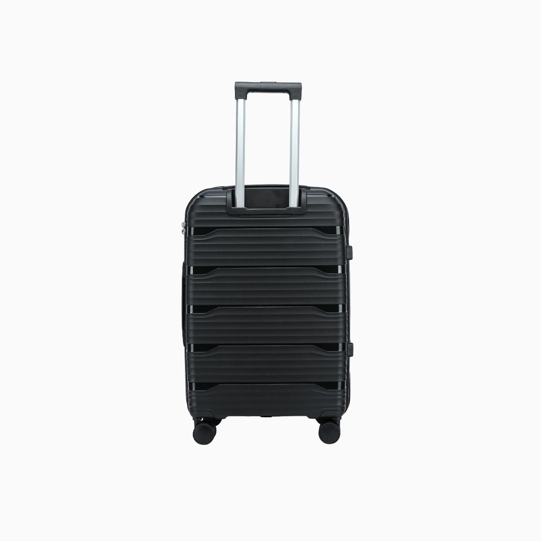 Windora  - 20cm